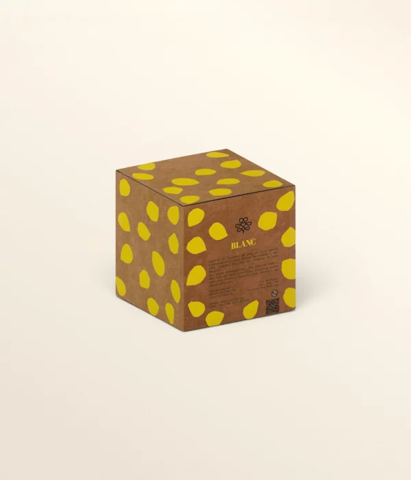 Cubi de vin blanc sec 3L – bag-in-box vin blanc à commander en ligne