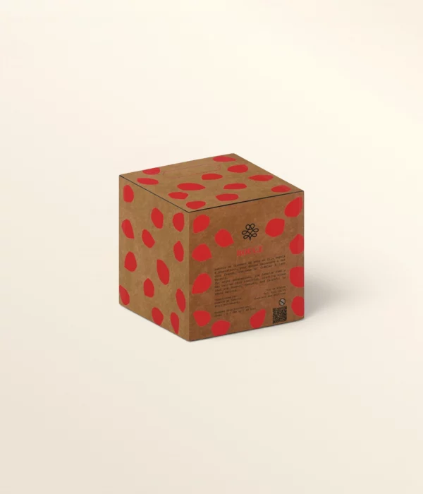Cubi de vin rouge 3L – bag-in-box vin rouge à commander en ligne
